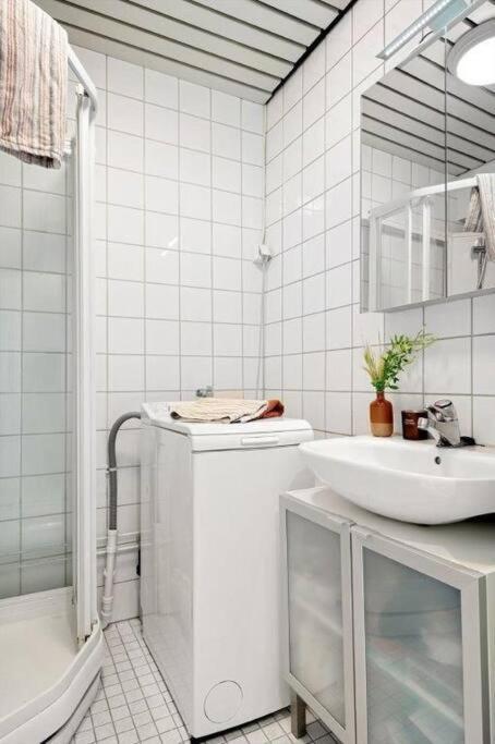 Praktisk 1-Roms Leilighet Oslo Zewnętrze zdjęcie